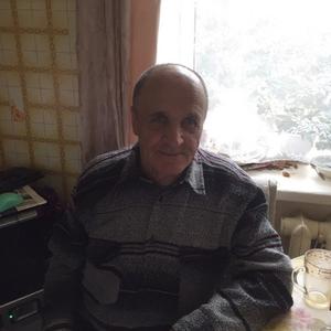 Александр, 71 год, Лодейное Поле