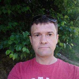 Анатолий, 50 лет, Ивантеевка