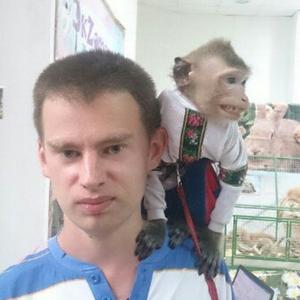 Дмитрий  Чугунов, 35 лет, Кузнецк