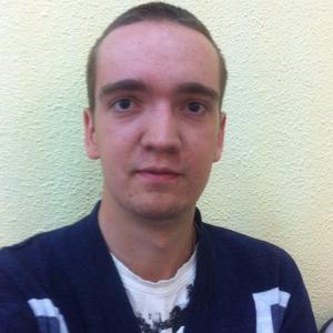 Артем, 29 лет, Кольчугино