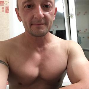 Макс, 42 года, Зеленогорск