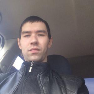 Саша Михалев, 36 лет, Тольятти