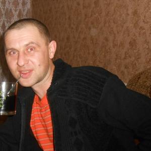 Николай, 43 года, Владимир