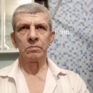 Владимир, 69 лет, Сургут