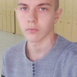 Дмитрий, 20 лет, Чайковский