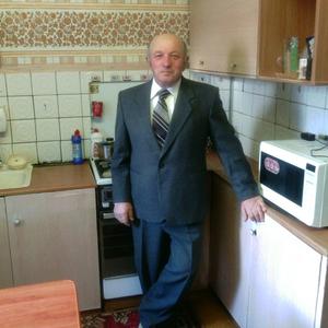 Евгений, 74 года, Челябинск
