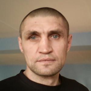 Игорь, 42 года, Кривой Рог