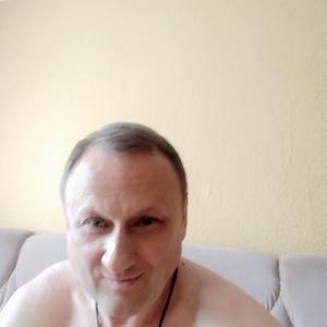 Евгений, 44 года, Павловск