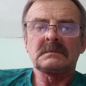 Иван, 61 год, Тольятти