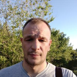 Денис Щипанов, 36 лет, Тольятти