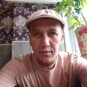 Элтин, 37 лет, Томск
