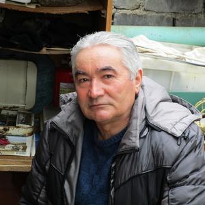 Александр, 72 года, Заозерск