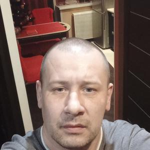 Олег, 42 года, Владимир