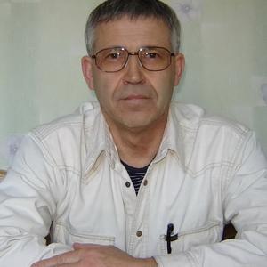Владимир, 73 года, Хабаровск