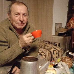 Парни в Белоозеро: Виктор, 70 - ищет девушку из Белоозеро