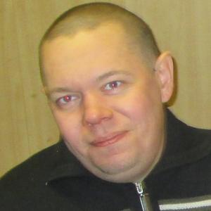 Юрий Тимофте, 45 лет, Ярославль