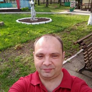 Евгений Плотников, 44 года, Чайковский
