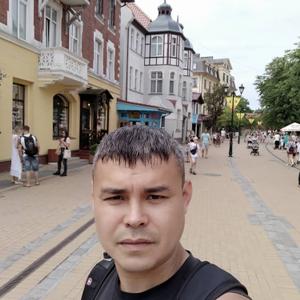 Рус, 39 лет, Новотроицк