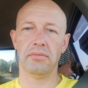 Михаил Полежаев, 44 года, Рубцовск