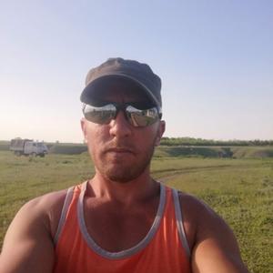 Александар, 37 лет, Саратов