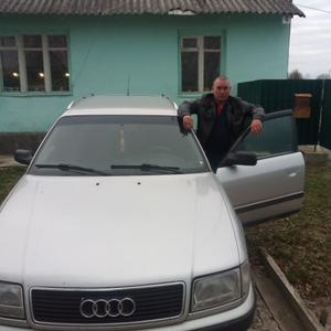 Алексей, 49 лет, Кольчугино