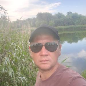 Div, 36 лет, Ульяновск