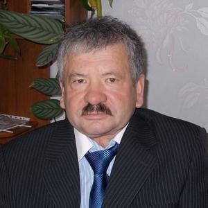 Станислав Кудрявцев, 70 лет, Новочебоксарск