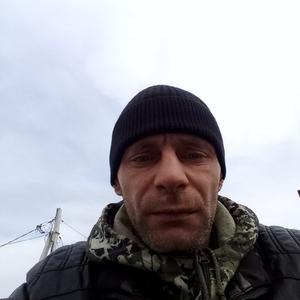Иван, 42 года, Артем