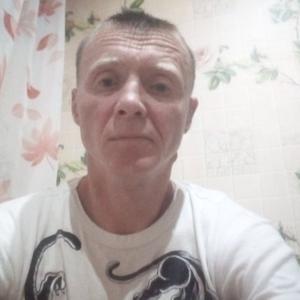 Дима, 42 года, Кострома