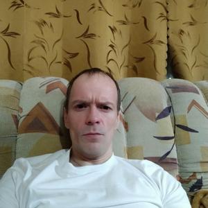 Alexey Petrov, 41 год, Сиверский