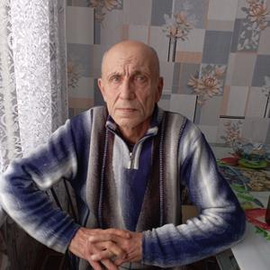 Анатолий, 62 года, Боровичи