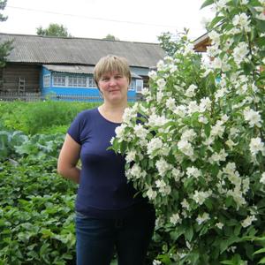 Елена, 50 лет, Вологда