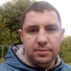 Алексей Смирнов, 38 лет, Кострома