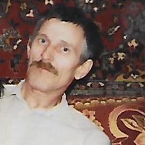Анатолий Мингалёв, 72 года, Богандинский
