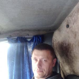 Александр, 41 год, Михайловск