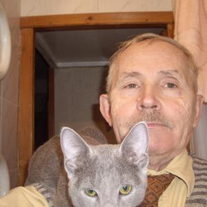 Геннадий, 85 лет, Петергоф