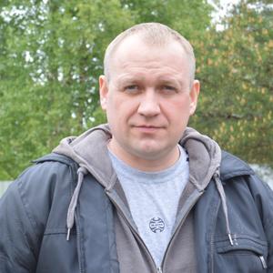 Михалыч, 43 года, Северодвинск