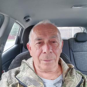 Николай, 73 года, Краснодар