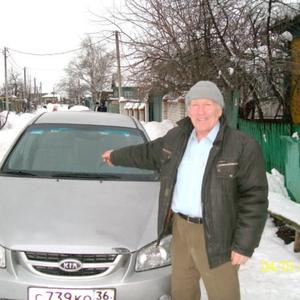 Василий Бирюков, 84 года, Воронеж