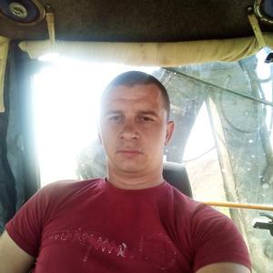 Сергей Емельяненко, 36 лет, Горьковский
