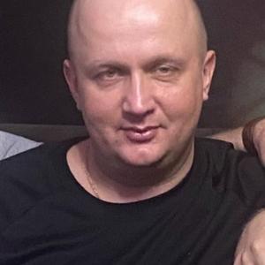 Serega, 44 года, Ставрополь