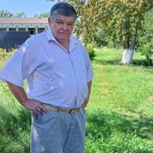 Nikolaj, 67 лет, Курск