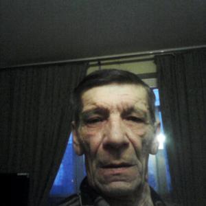 Владимир, 74 года, Владимир