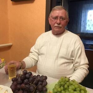 Валерий, 67 лет, Белгород