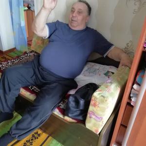 Мухамет, 69 лет, Шумиха
