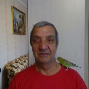 Анатолий, 74 года, Пятигорск