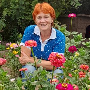Галина, 63 года, Братск