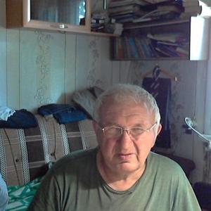 Саша, 79 лет, Санкт-Петербург