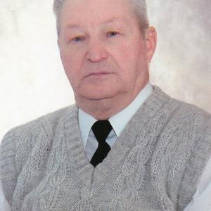 Василий, 78 лет, Рыбинск