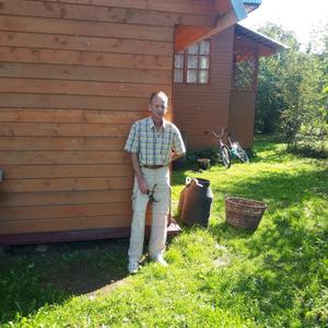 Сергей, 61 год, Дмитров